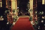 213i1__chasingfairylights
