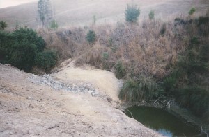 The Mudcastle upper Moutere, Nelson New Zealand