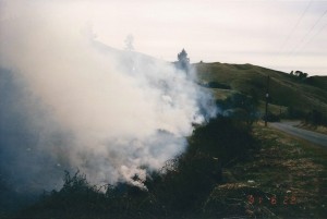 The Mudcastle upper Moutere, Nelson New Zealand